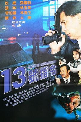 13指令 (1996) 海报