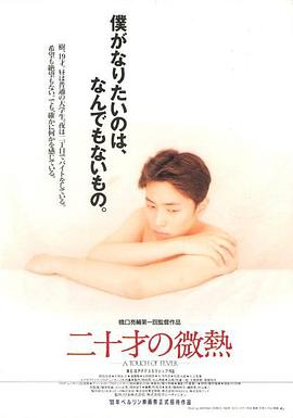 20岁的微热 (1993) 海报