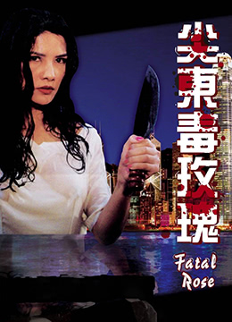 93夜之女 (1993) 海报