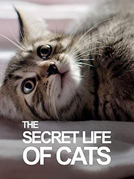 BBC地平线：猫的秘密生活 (2013) 海报