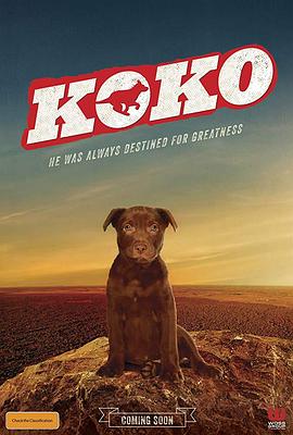 Koko:红犬历险记 (2019) 海报