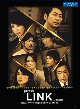 LINK (2013) 海报