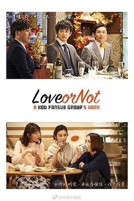 Love or Not (2017) 海报