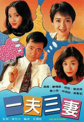 一夫三妻粤语 (1993) 海报