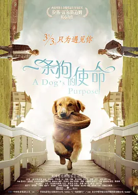 一条狗的使命[电影解说] (2017) 海报