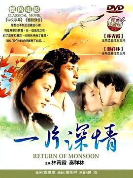 一片深情 (1979) 海报