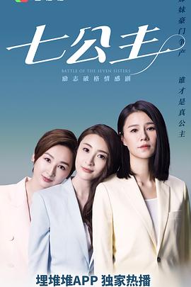 七公主2021粤语 (2021) 海报