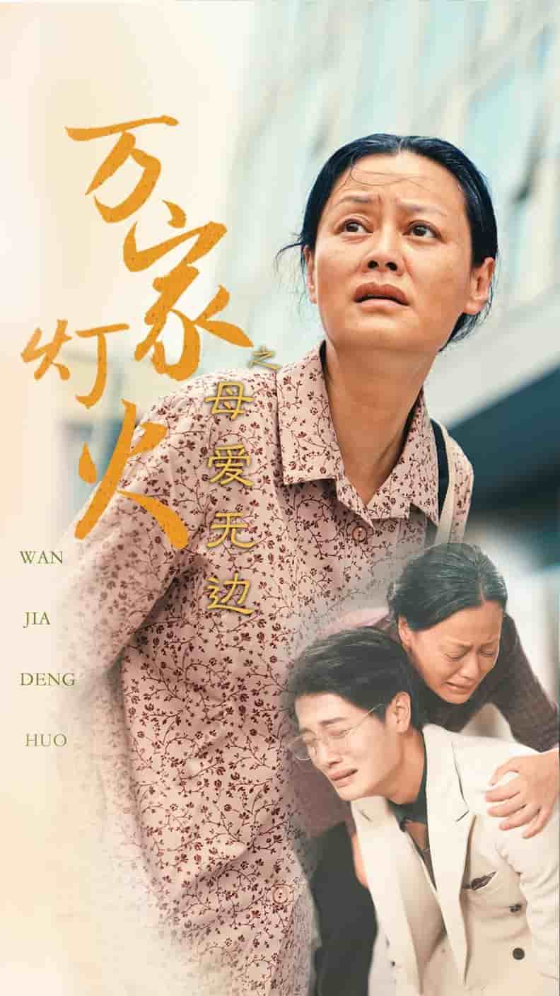 万家灯火之母爱无边 (2024) 海报
