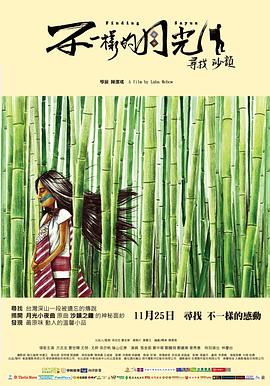 不一样的月光 (2011) 海报