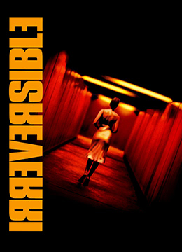 不可撤销 (2002) 海报