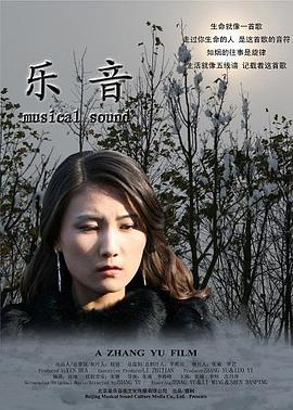 乐音 (2010) 海报