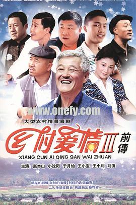 乡村爱情故事 (2010) 海报