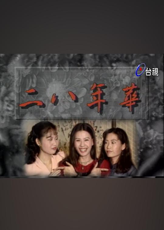二八年华 (1994) 海报