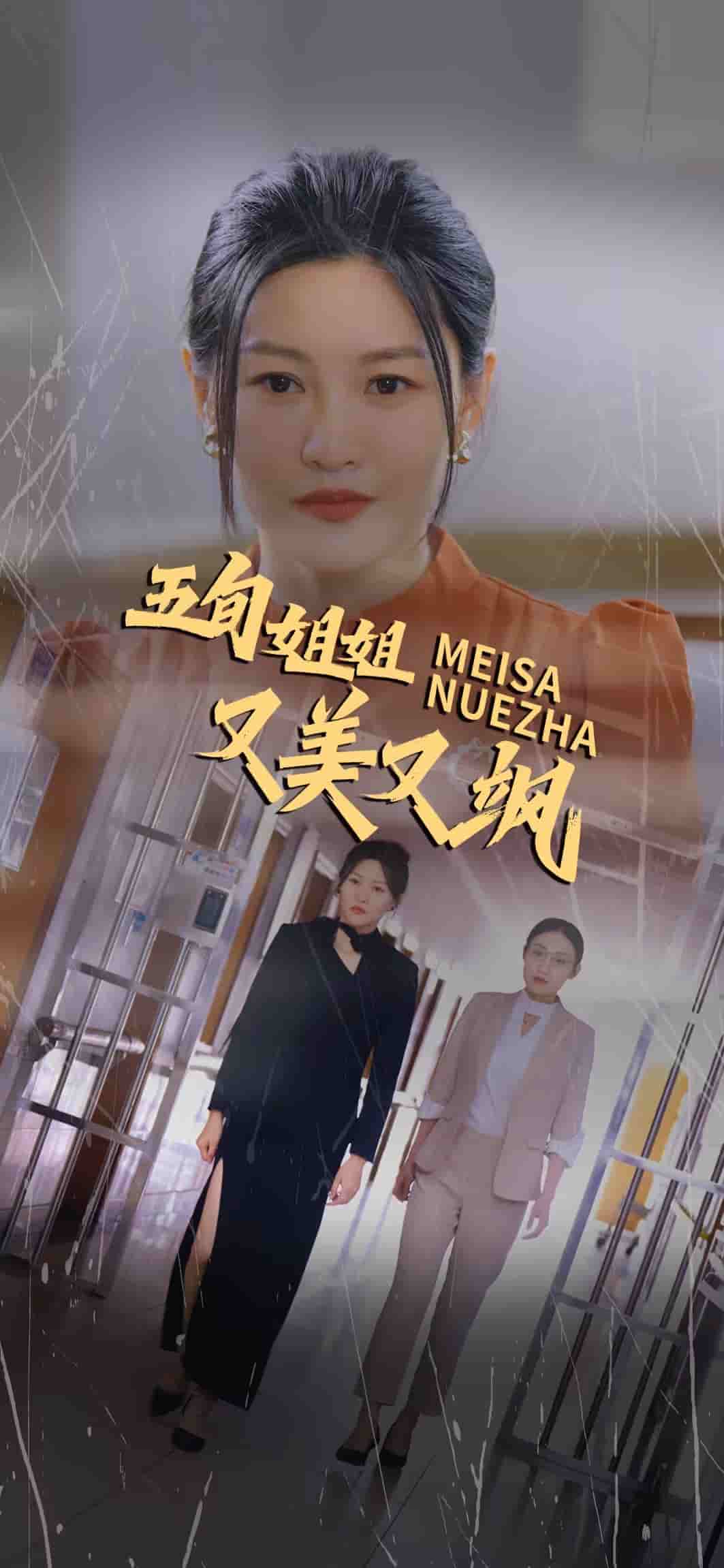 五旬姐姐又美又飒 (2024) 海报
