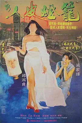人皮灯笼1993[电影解说] (1993) 海报