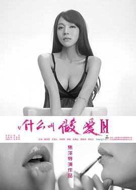 什么叫做爱2 (2014) 海报