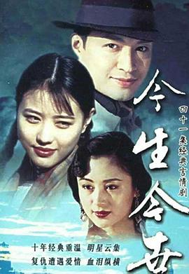 今生今世1995 (1995) 海报