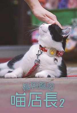 他和她的喵店长2粤语 (2024) 海报