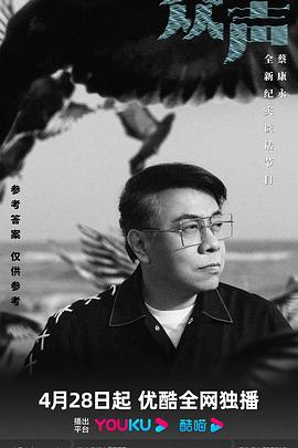 众声 (2023) 海报