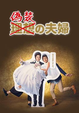 伪装夫妇2015 (2015) 海报