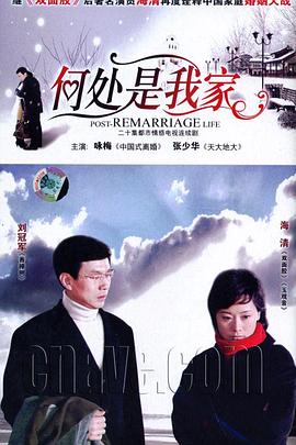 何处是我家2007 (2008) 海报