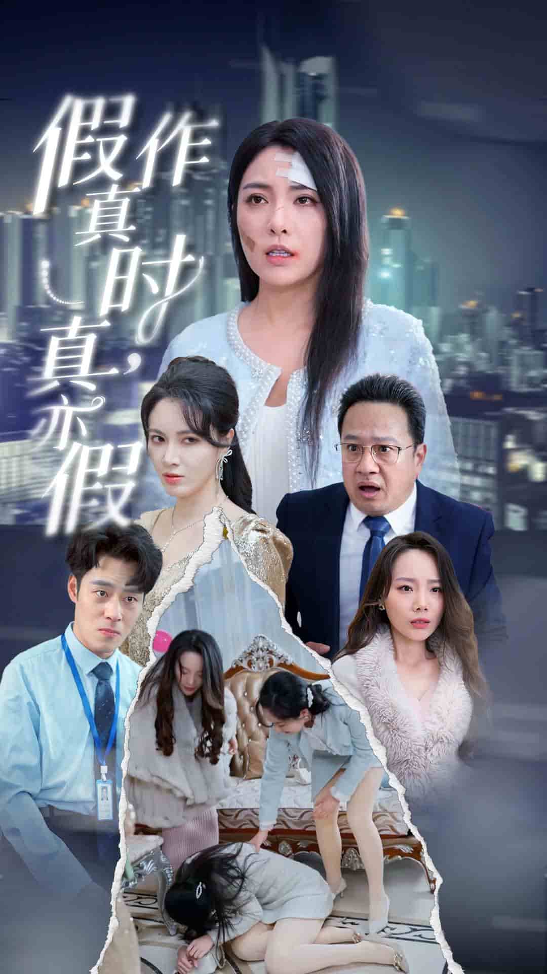 假作真时真亦假 (2024) 海报