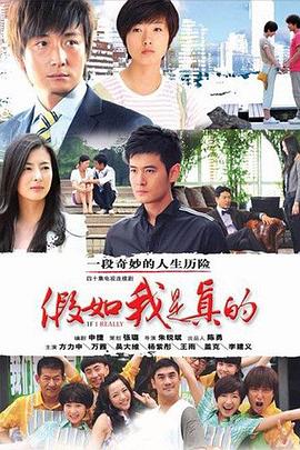 假如我是真的 (2012) 海报