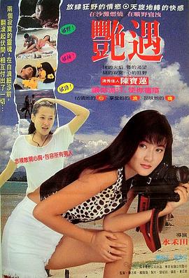 偶遇 (1995) 海报