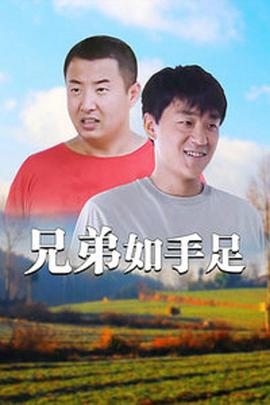 兄弟如手足 (2008) 海报