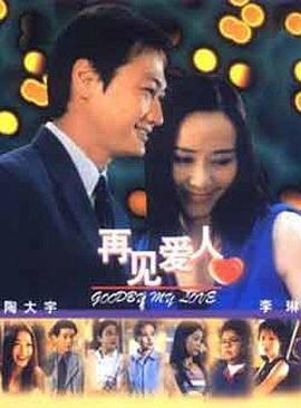 再见爱人2003 (2003) 海报