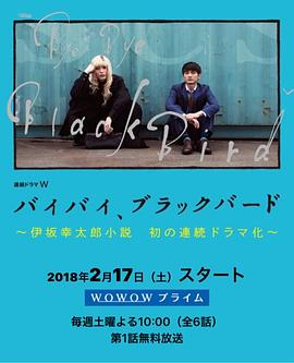 再见，黑鸟 (2018) 海报