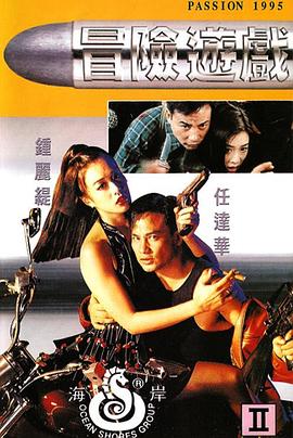 冒险游戏 (1995) 海报