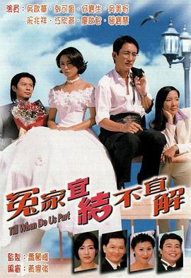 冤家宜结不宜解粤语 (1998) 海报