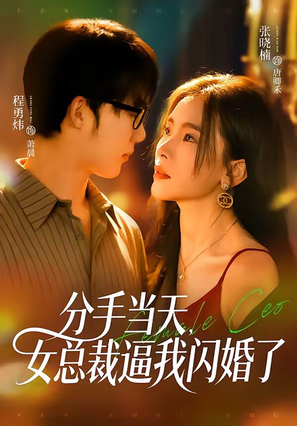 分手当天，女总裁逼我闪婚了 (2026) 海报