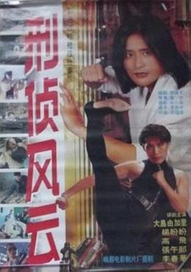 刑侦风云 (1994) 海报