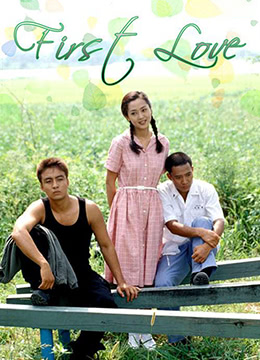 初恋1996 (1996) 海报
