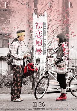 初恋风暴 (2010) 海报