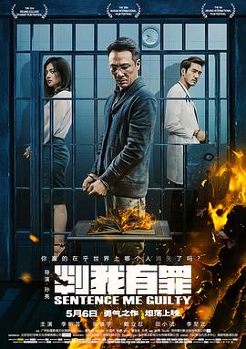 判我有罪 (2015) 海报