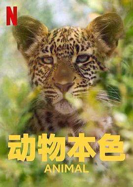 动物本色第二季 (2022) 海报
