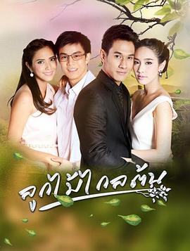 劫缘 (2016) 海报