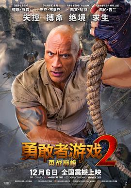 勇敢者游戏2：再战巅峰 (2019) 海报