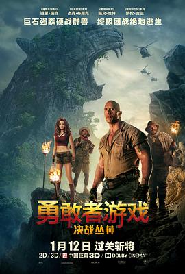 勇敢者游戏：决战丛林 (2017) 海报