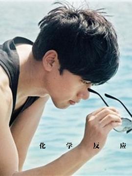 化学反应 (2007) 海报