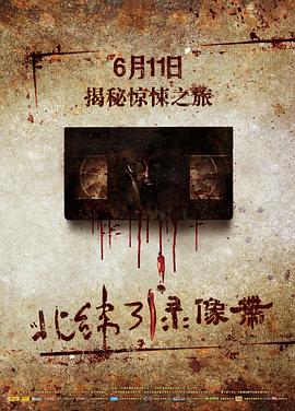 北纬31°录像带 (2010) 海报