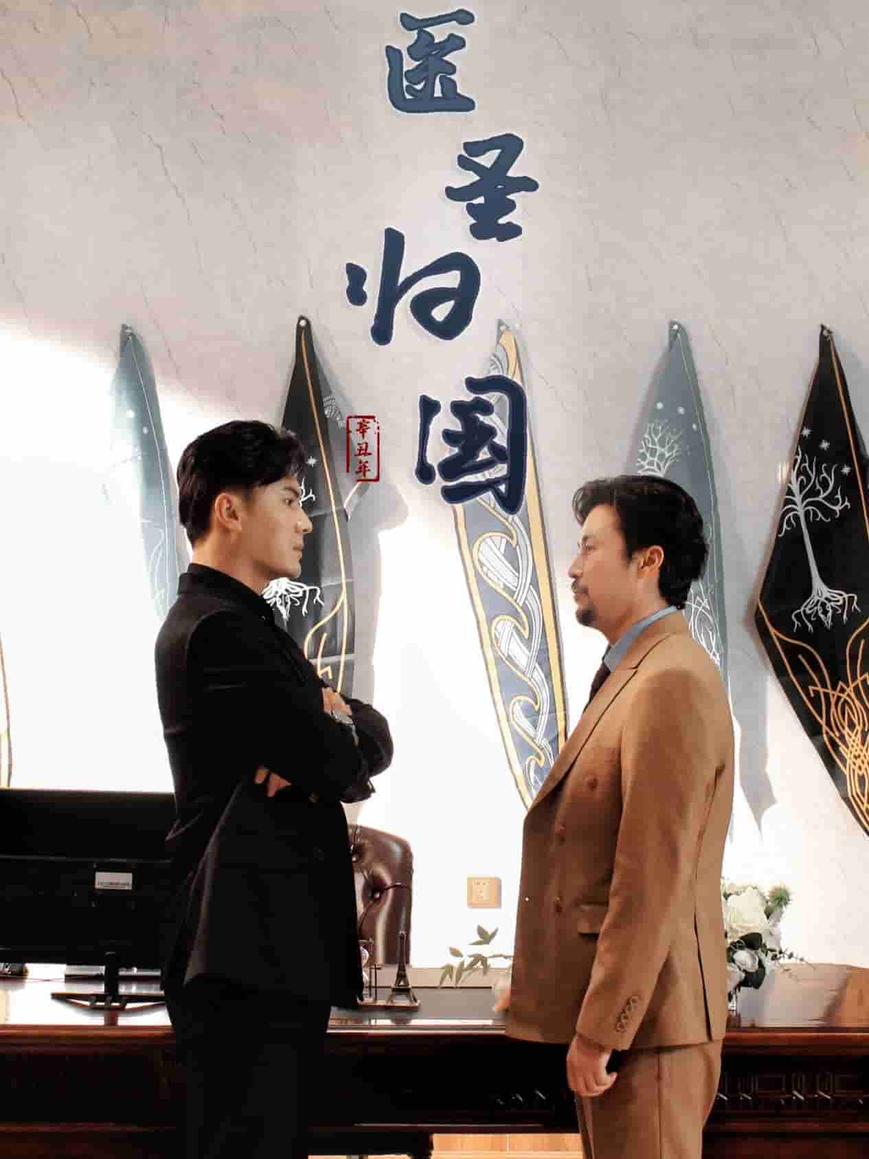 医圣归国 (2025) 海报