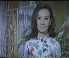 单身女郎 (1971) 海报