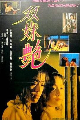 双姝艳 (1995) 海报