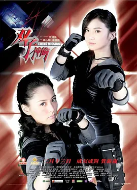 双子神偷[电影解说] (2007) 海报