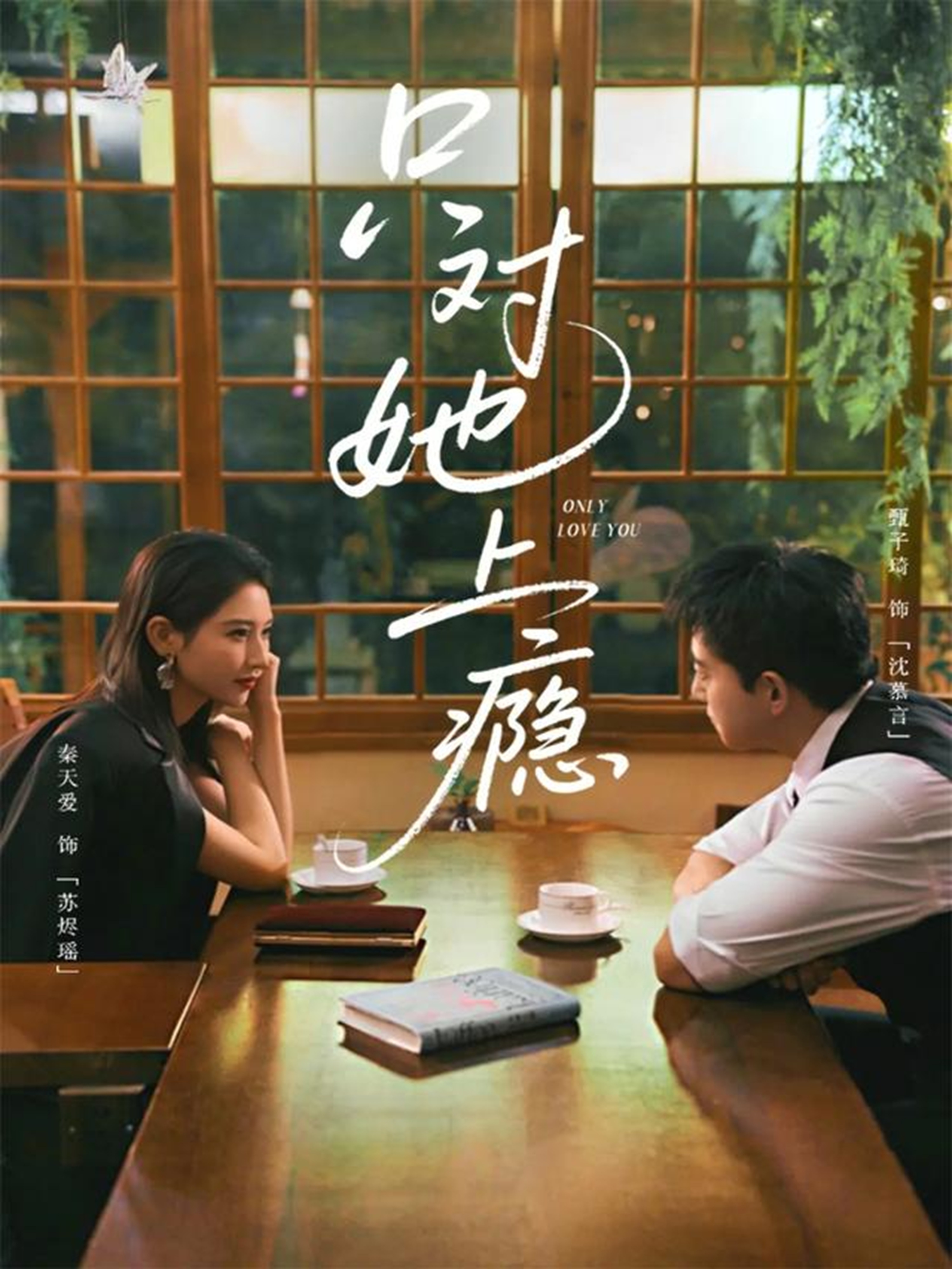 只对她上瘾 (2026) 海报