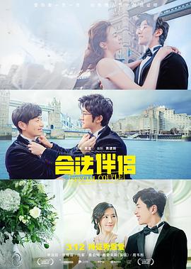 合法伴侣 (2019) 海报